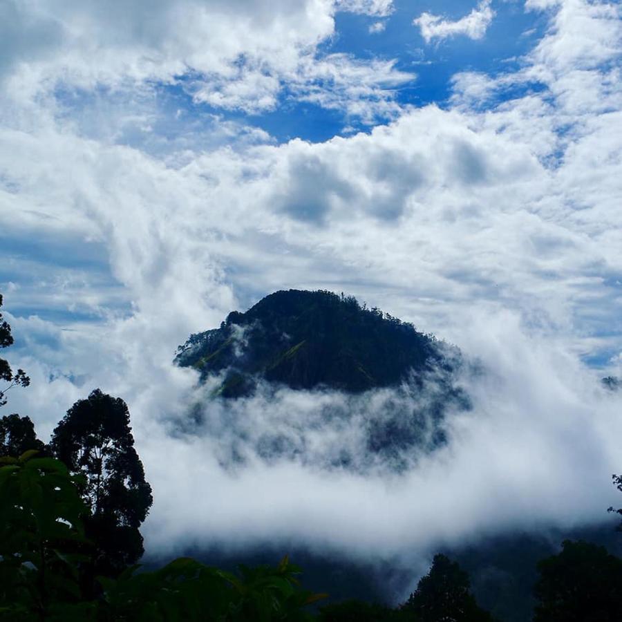Secret View Homestay エッラ エクステリア 写真