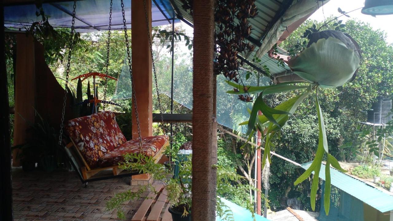 Secret View Homestay エッラ エクステリア 写真
